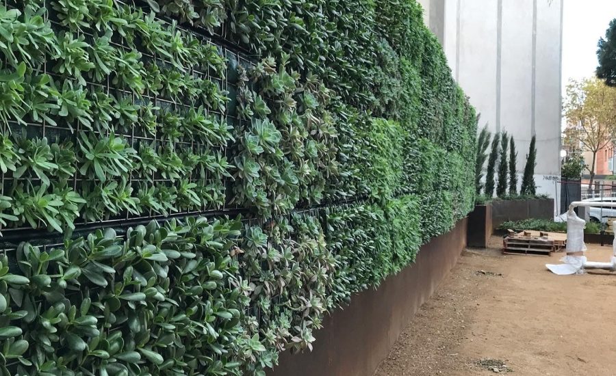 PROJECTE PLAÇA DE JOAN FONT I CAN BOTER. PREMIÀ DE MAR