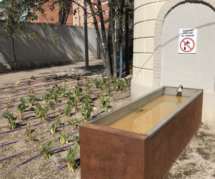 Projecte Jardins Pedemonte