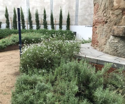 PROJECTE PLAÇA DE JOAN FONT I CAN BOTER. PREMIÀ DE MAR